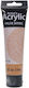 Phoenix Arts Acrylic Paint Set Raw Sienna 601 1...
