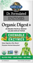 Garden Of Life Dr Formulated Organic Digest+ 90 Дъвчащи Таблетки