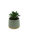 Marva Artificial Plant in Small Pot 1pcs