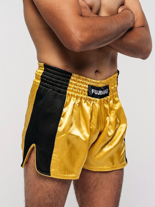 Fujimae Shorts Kick/Thai-Boxen Gold