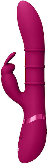 Vive Vibrator Rabbit 24cm Pink