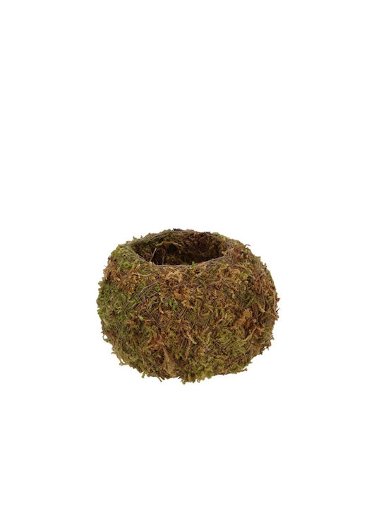 Kokedama Ball Small