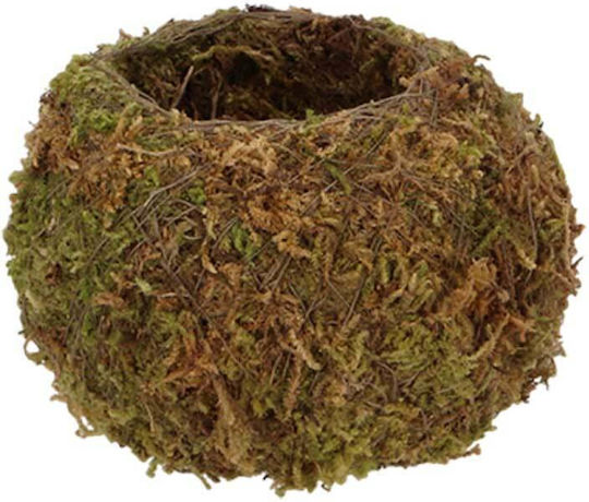 Moss JP004 Moss JP004