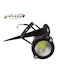 Universo Illuminazione Sticla Lumină Led Fixă W-751297
