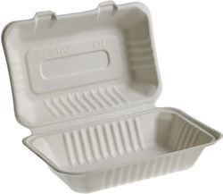 Leone Set von 100 Boxen 23x15cm