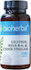 Bioherba Lecithin, Kelp, B-6 & Cider Vinegar 100 капси