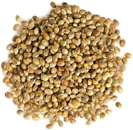 Hemp Seed Cannabis Sativa Shelled China 20 Gr