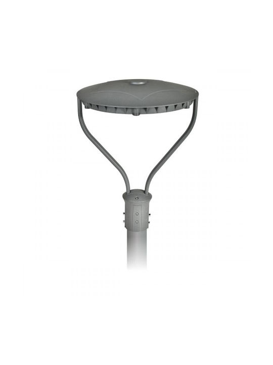 Spot Light Spot Light Außenstehlampe LED für den Außenbereich 60W mit Kaltweißem Licht