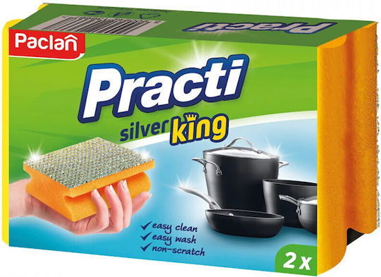 Paclan Practi Σετ Σφουγγάρια Πιάτων με Λαβή Ασημί 2τμχ