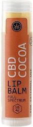 Lip Balm Kάνναβης Γεύση Σοκολάτα - Kannabio - 5gr Lip Balm Kάνναβης Γεύση Σοκολάτα - Kannabio - 5gr