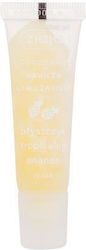Ziaja Lip Gloss Tropical Pineapple Lip Gloss 12 Ml For Women Ziaja Lip Gloss Tropical Pineapple Lip Gloss 12 Ml For Women