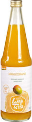 Χυμός Μάνγκο 700ml Bio, Vegan, Luna E Terra 14248 Χυμός Μάνγκο 700ml Bio, Vegan, Luna E Terra 14248