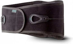 Aspen Lumbar Support Belt