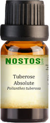 Tuberose Absolute Oil 10ml