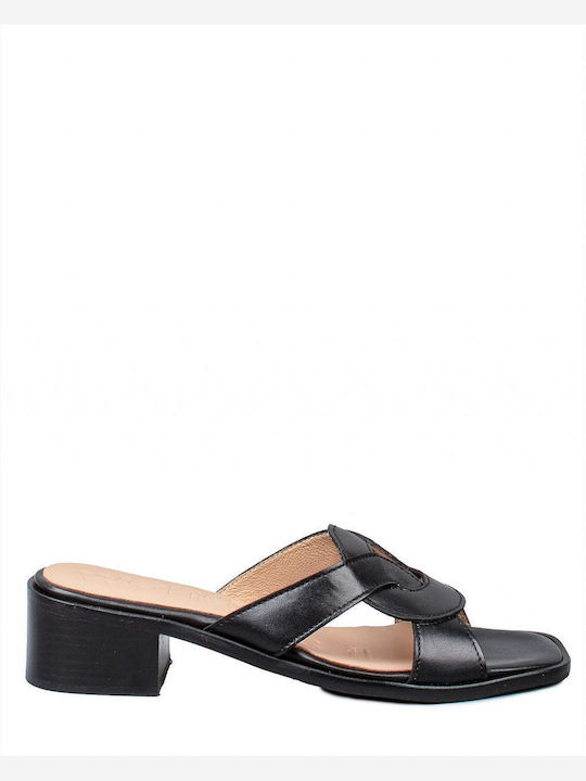 Γυναικεία Δερμάτινα Mules Wonders D-1111 Iseo V Negro Black