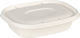 THalassinos Disposable Plate