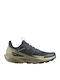 Salomon Elixir Activ Men's Hiking Shoes Carbon Slate Green Glacier Gray