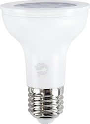 GloboStar LED Lampen für Fassung E27 und Form PAR20 Kühles Weiß 800lm Dimmbar 1Stück