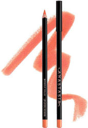 Creion Contur Buze, Anastasia Beverly Hills, Lip Liner, Sun Baked