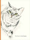The Book Of Cat Poems Ana Sampson 0914