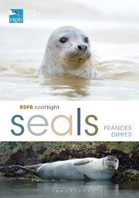 Rspb Spotlight Seals Dr Frances Dipper Wildlife 0601 Rspb Spotlight Seals Dr Frances Dipper Wildlife 0601