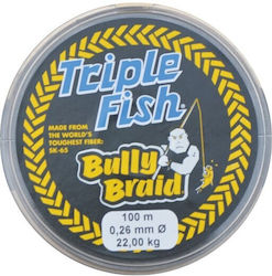 Triple Fish Νήμα Ψαρέματος 100m / 0.26mm