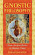 Gnostic Philosophy From Ancient Persia To Modern Times Tobias Churton