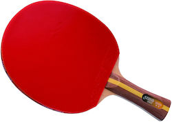 DHS Ρακέτα Ping Pong DHS Ρακέτα Ping Pong
