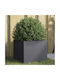 vidaXL Planter Box 32x30cm Charcoal 841539