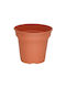 Micplast Daiquiri Pot Plastic Terracotta 30x30x26cm.