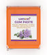 Lumea Glasuri Fondant 500gr Portocalii
