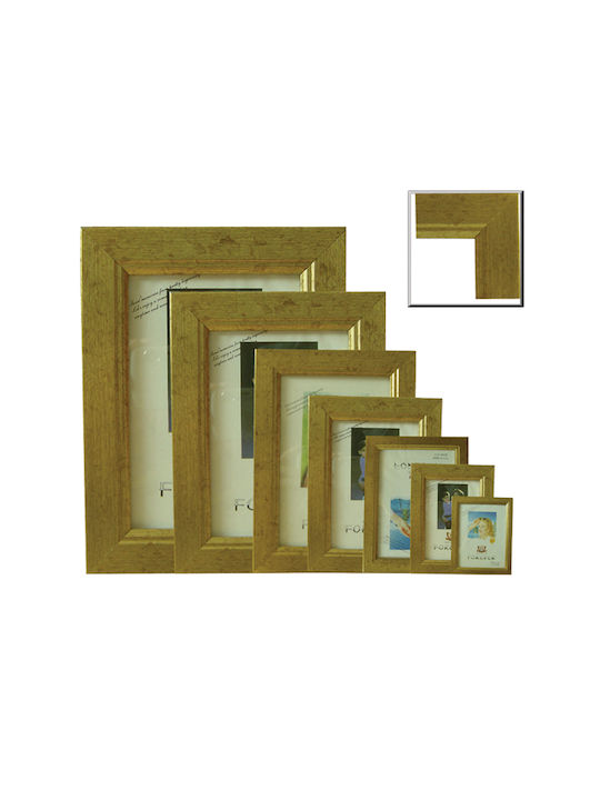 AGC Frame Plastic 13cmx18cm with Gold Frame