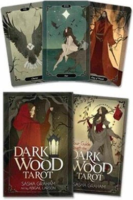 Dark Wood Tarot Abigail Larson Publications,u.s