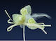 Nuova Vita Decorative Element for Wedding Favors Ecru 12pcs