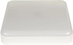 Osram 19W