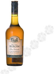 Michel Biron