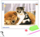 Diamond Mosaic Tapestry Rila Crafts 30x40cm Four-Legged Friends