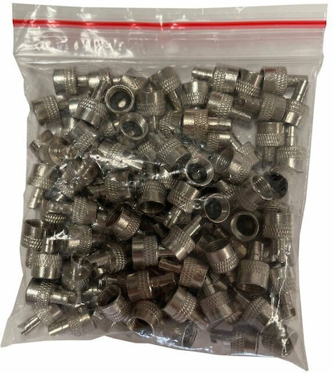 Metallkappe mit Schlüssel für Ventil 100 St