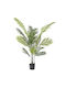 Außenbereich Palme 120cm Ai Lati