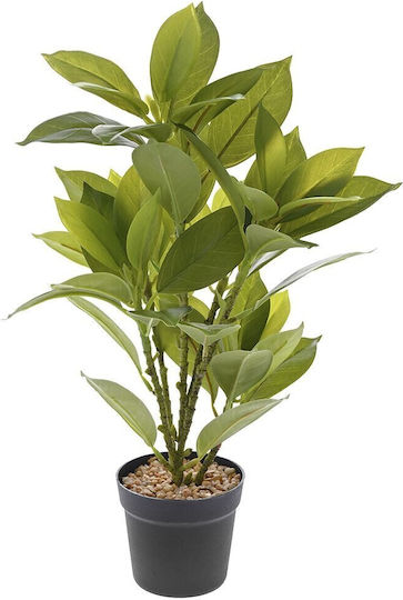 Plantă Artificială în Ghiveci Mic Black 39cm Ai Lati