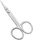 Niobe Professional Nagelschere mit Gerader Spitze Silber 174059 1 Stück