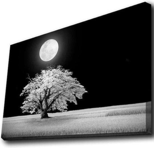 Wallity Gemälde auf Leinwand mit LED-Beleuchtung 70x45cm