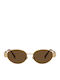 Pervedere Unisex Sonnenbrillen mit Gold Metallisch Rahmen und Braune Gläser