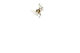 with Butterfly Silver