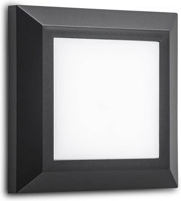 Aca Wasserdicht Wandmontierte Außenbeleuchtung LED 4W 3000K 12,5x12,5cm Aca Wasserdicht Wandmontierte Außenbeleuchtung LED 4W 3000K 12,5x12,5cm