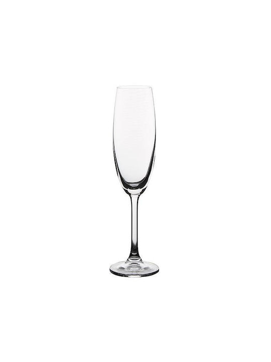 Bohemia Gastro Glass Set Champagne / White Wine / Cocktail/Drinking made of Glass Stacked 230ml 6pcs