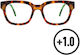 Reading Glasses +1.00 in Brown color A16138-03-00