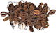 Scrunchie Beige 7201-Beige