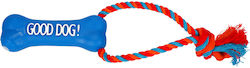 Dingo Training Dog Toy Blue