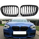 Carro Декоративна маска за кола BMW F20